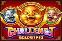 Challengeã»golden Pig