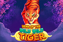 Year Of The Wild Wild Tiger